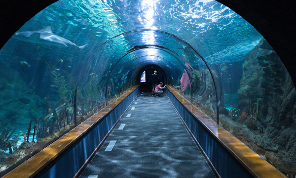 水族館